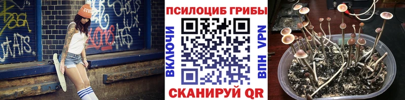 Галлюциногенные грибы Cubensis  Великий Устюг 